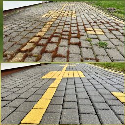 MGProfessional - Porównanie stanu kostki brukowej przed i po czyszczeniu: górna część z mchem i zabrudzeniami, dolna część odświeżona, z wyraźnymi żółtymi liniami