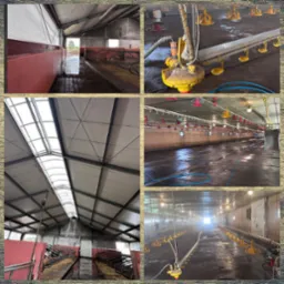 Wnętrze hali produkcyjnej po umyciu, widoczne mokre powierzchnie i systemy podawania wody, zróżnicowane ujęcia detali i ogólny widok.