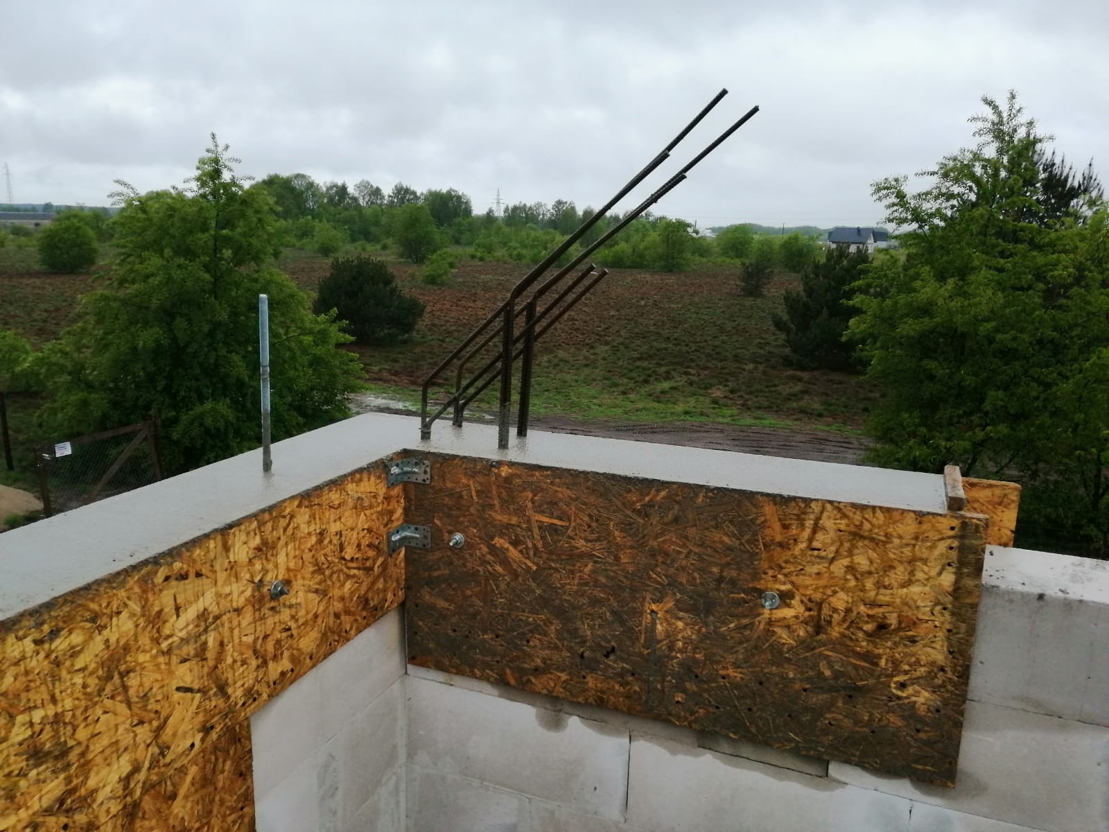 Wylany fundament z wystającymi prętami zbrojeniowymi i deskowaniem z płyty OSB, widok na zewnątrz na zielone drzewa i pochmurne niebo.