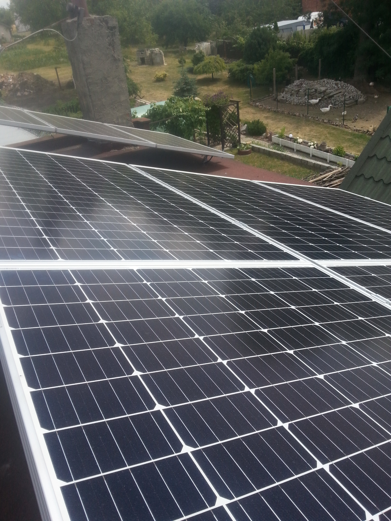 Panele słoneczne na dachu domu jednorodzinnego, widok z góry, w tle ogród z białymi gęsiami.