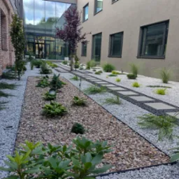 Nowoczesny ogród z ścieżką z płyt betonowych, rabatami wysypanymi białym i brązowym żwirem, ozdobnymi trawami i niskimi krzewami, otoczony budynkami o różnej architekturze.