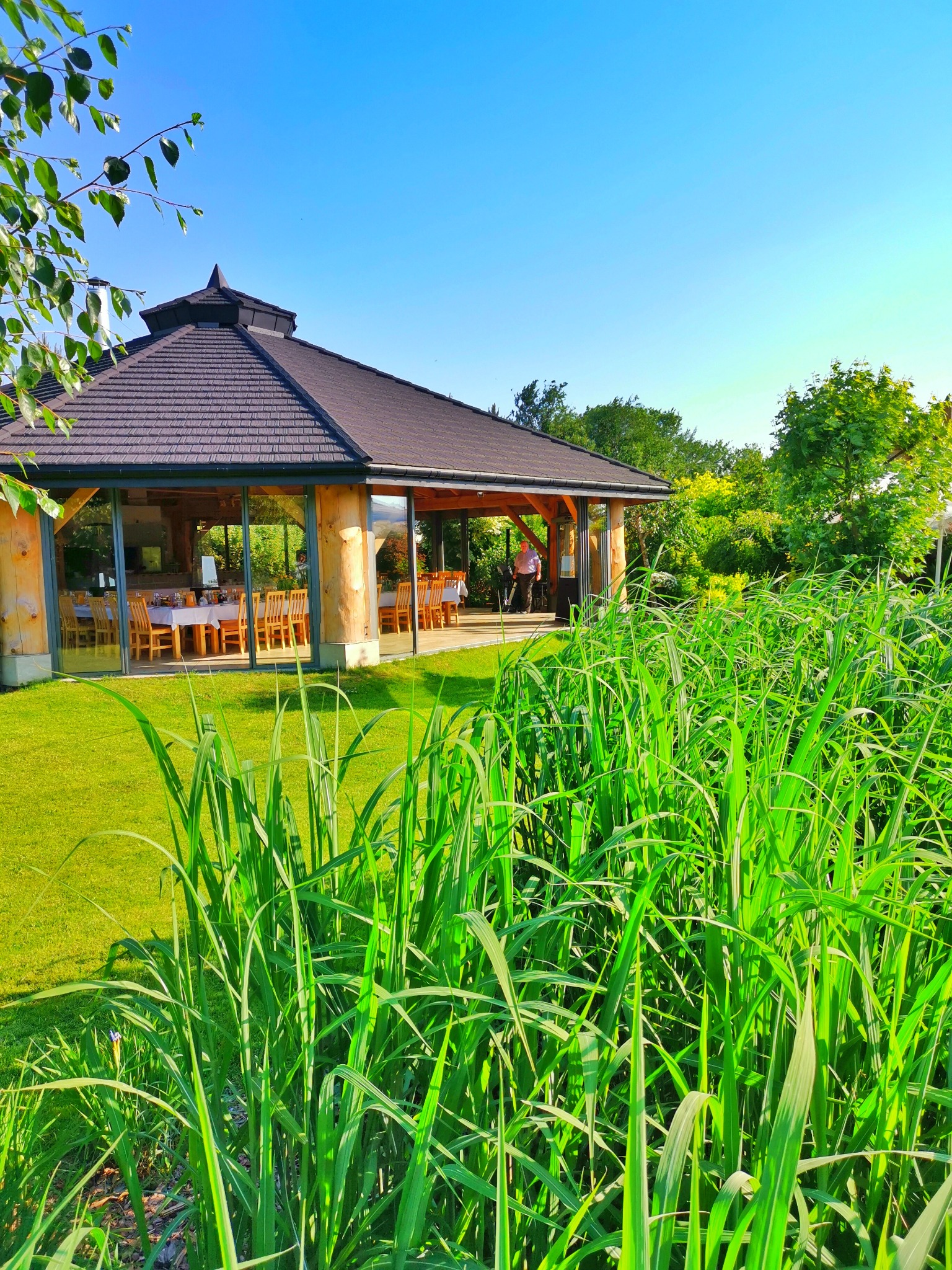 Zewnętrzny widok przeszklonej altany z drewnianą konstrukcją, przygotowanej do przyjęcia gości, otoczonej bujną zielenią i trawami w słoneczny dzień.