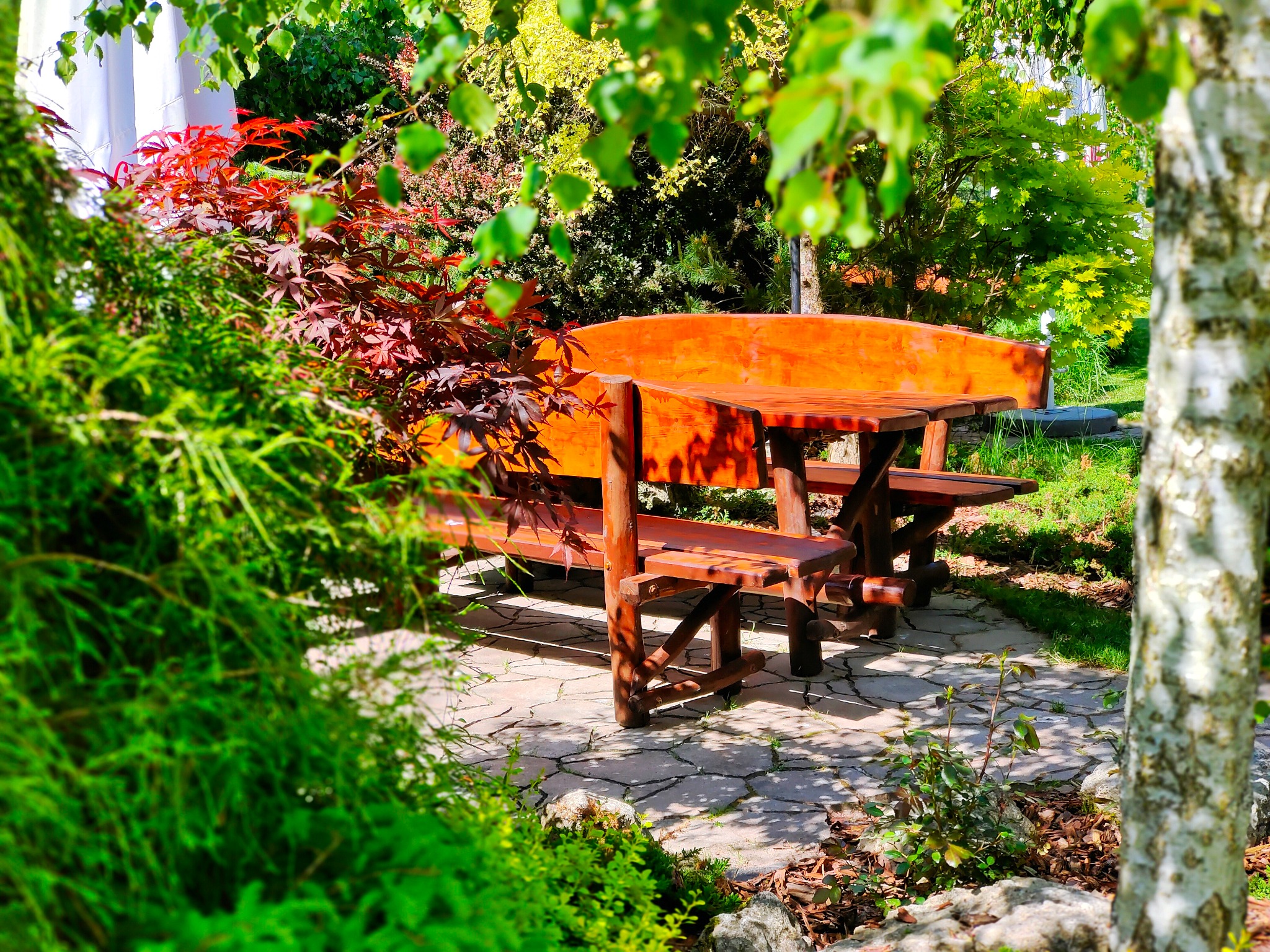 Drewniany stół z ławkami otoczony zielenią ogrodu, widoczny przez korę brzozy i gałęzie drzew