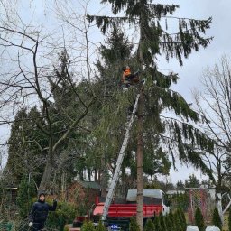 Pielęgnacja ogrodów Nieporęt 4