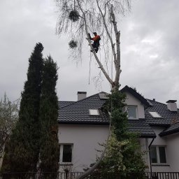 Pielęgnacja ogrodów Nieporęt 1