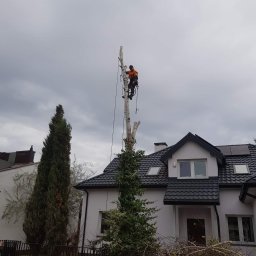 Pielęgnacja ogrodów Nieporęt 2