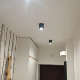 Wnętrze korytarza z trzema czarnymi, okrągłymi lampami sufitowymi LED, białą szafą z drewnianymi akcentami, wieszakiem na płaszcze z ubraniem i tapetą w motywie brzozowego lasu.