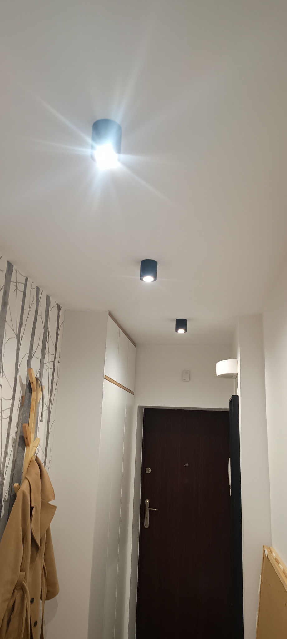 Wnętrze korytarza z trzema czarnymi, okrągłymi lampami sufitowymi LED, białą szafą z drewnianymi akcentami, wieszakiem na płaszcze z ubraniem i tapetą w motywie brzozowego lasu.