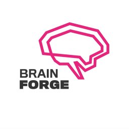 BrainForge IT Software & Consulting Sp. z o. o. - Inżynieria Oprogramowania Wrocław