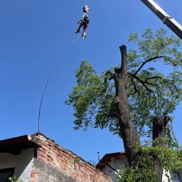 Maciej Foitzik - usługi alpinistyczne i ogrodnictwo - Najlepszy Projektant Ogrodów w Jeleniej Górze