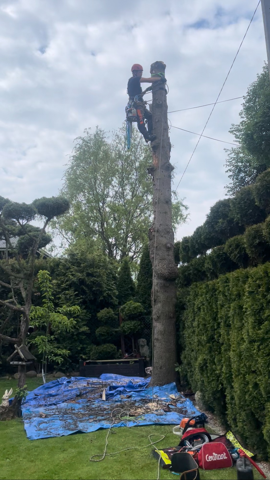 Arborysta w kasku i uprzęży, zabezpieczony linami, w trakcie usuwania górnej części pnia drzewa w ogrodzie; na ziemi rozłożona plandeka i narzędzia.