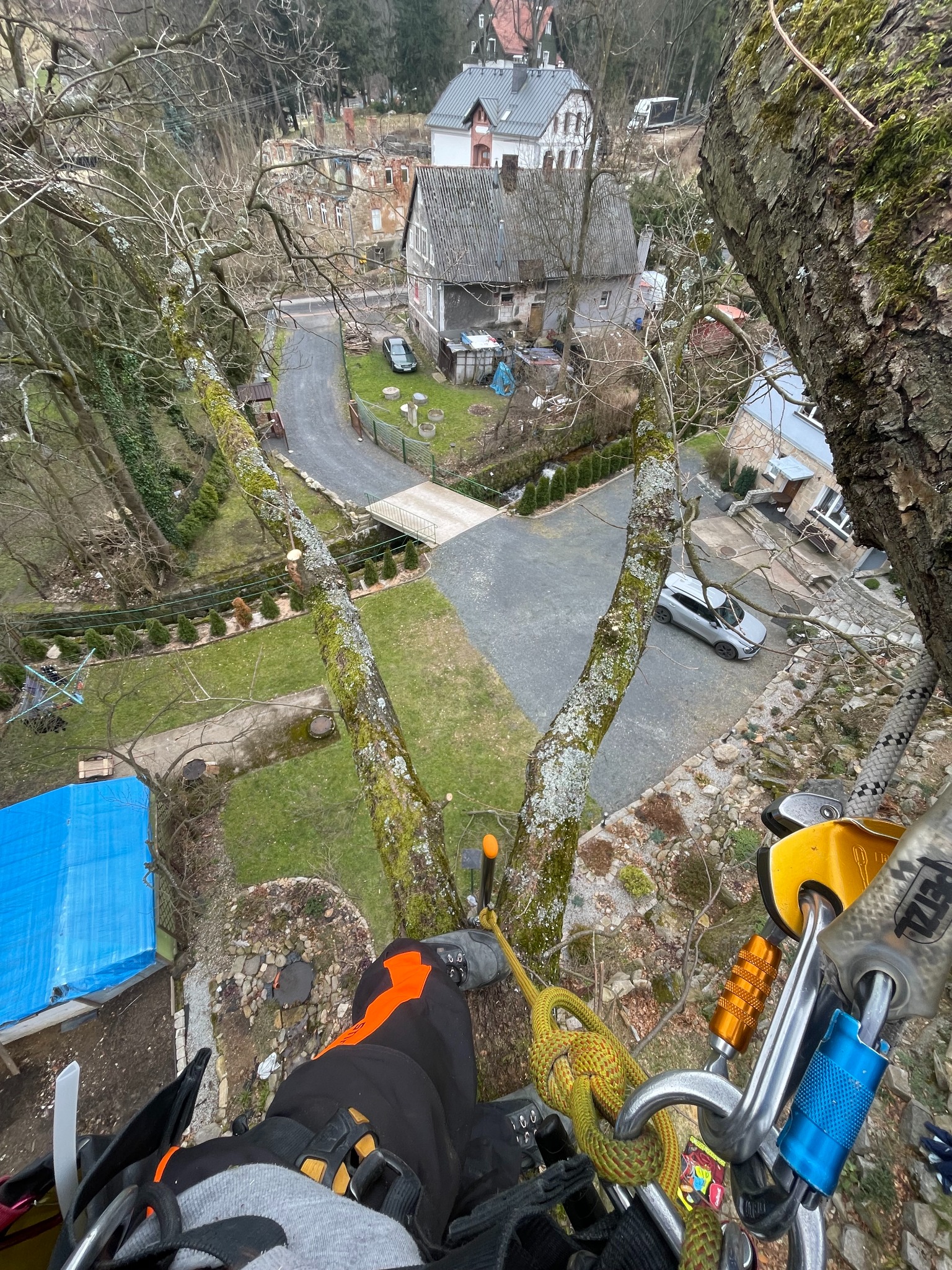 Widok z góry z perspektywy arborysty podczas pracy na drzewie, z widocznymi elementami uprzęży i lin, w tle domy i ogród z przyciętymi drzewkami.