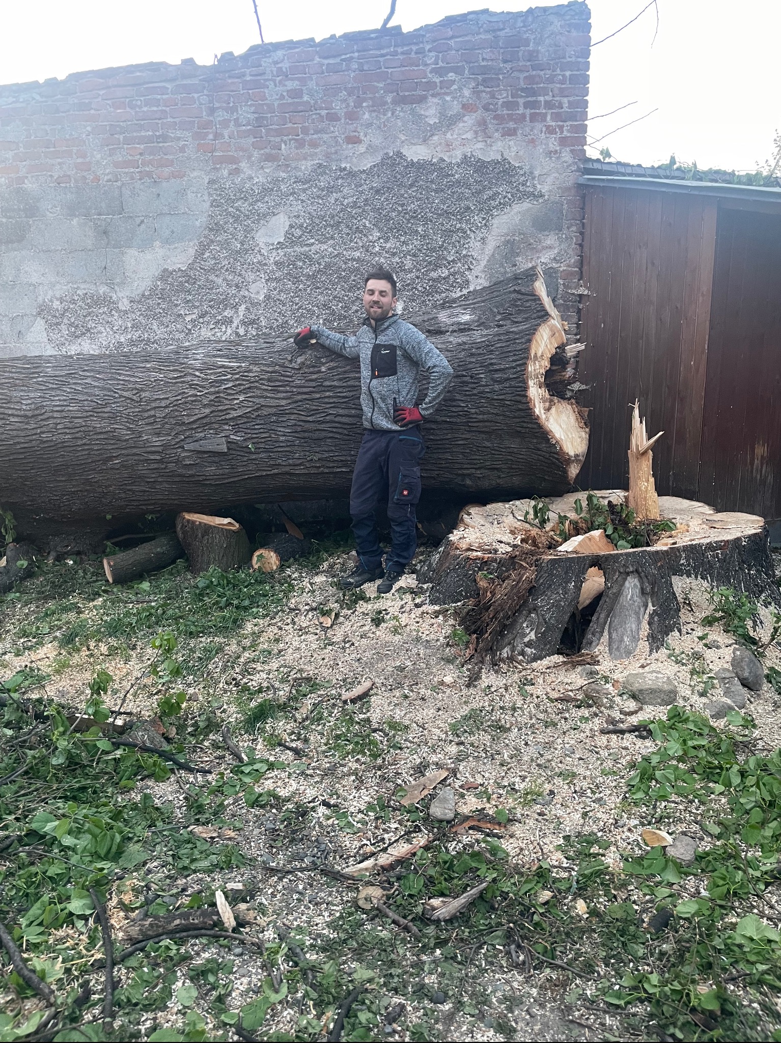 Uśmiechnięty mężczyzna w odzieży roboczej opiera się o powalone drzewo z widocznymi śladami cięcia, obok pnia z odłamkami, na tle ceglanego budynku i drewnianej szopy.