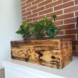 Pdn.drew - Drewniana skrzynka z efektem opalenia, wypełniona zielonymi sadzonkami, ustawiona na białej komodzie pod ceglaną ścianą.