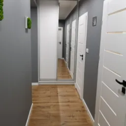 Wnętrze korytarza z szarą ścianą, drewnopodobną podłogą, białymi drzwiami z czarnymi klamkami i szafą wnękową z lustrem, na ścianie dekoracje z mchu.
