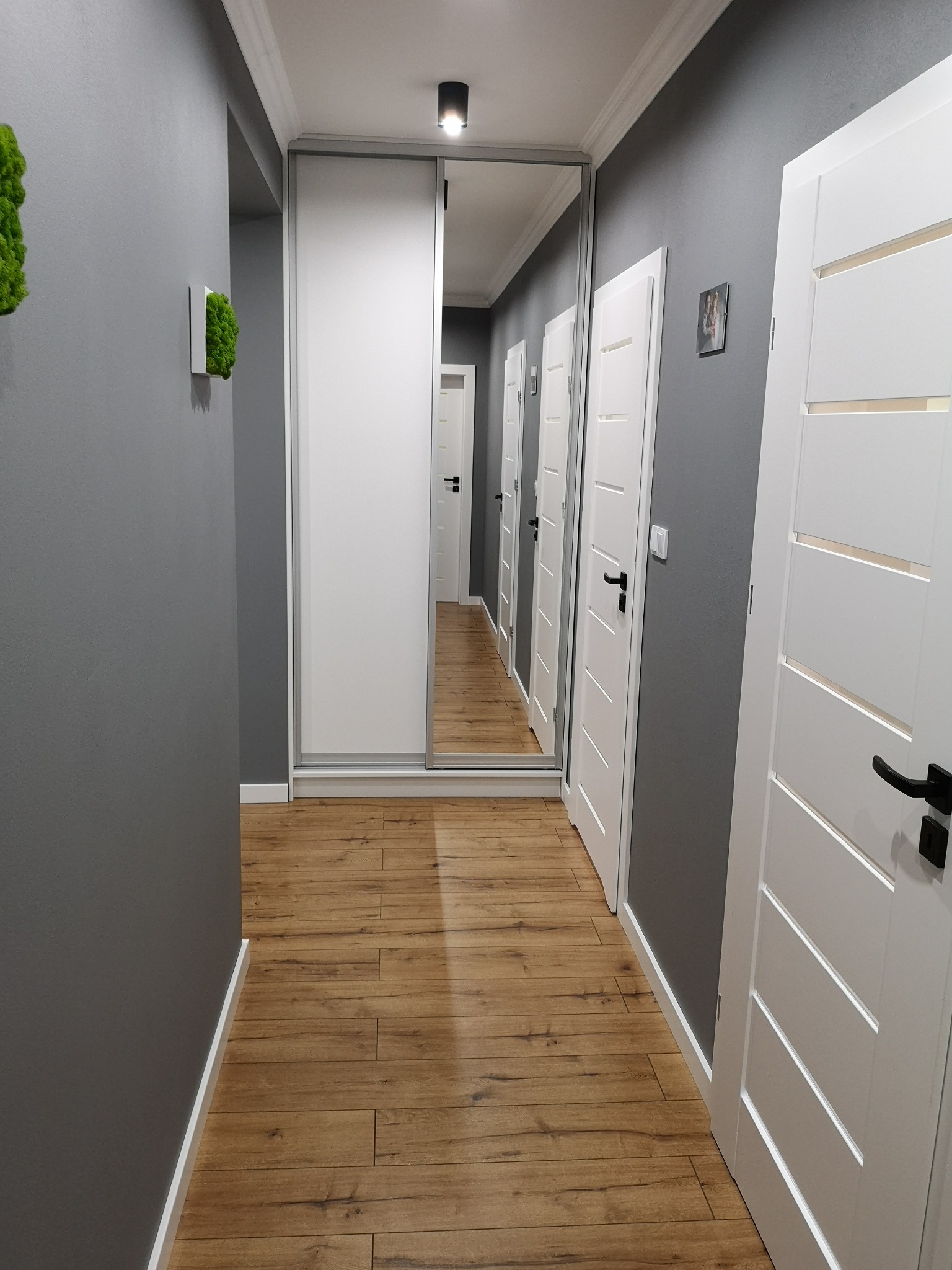 Wnętrze korytarza z szarą ścianą, drewnopodobną podłogą, białymi drzwiami z czarnymi klamkami i szafą wnękową z lustrem, na ścianie dekoracje z mchu.
