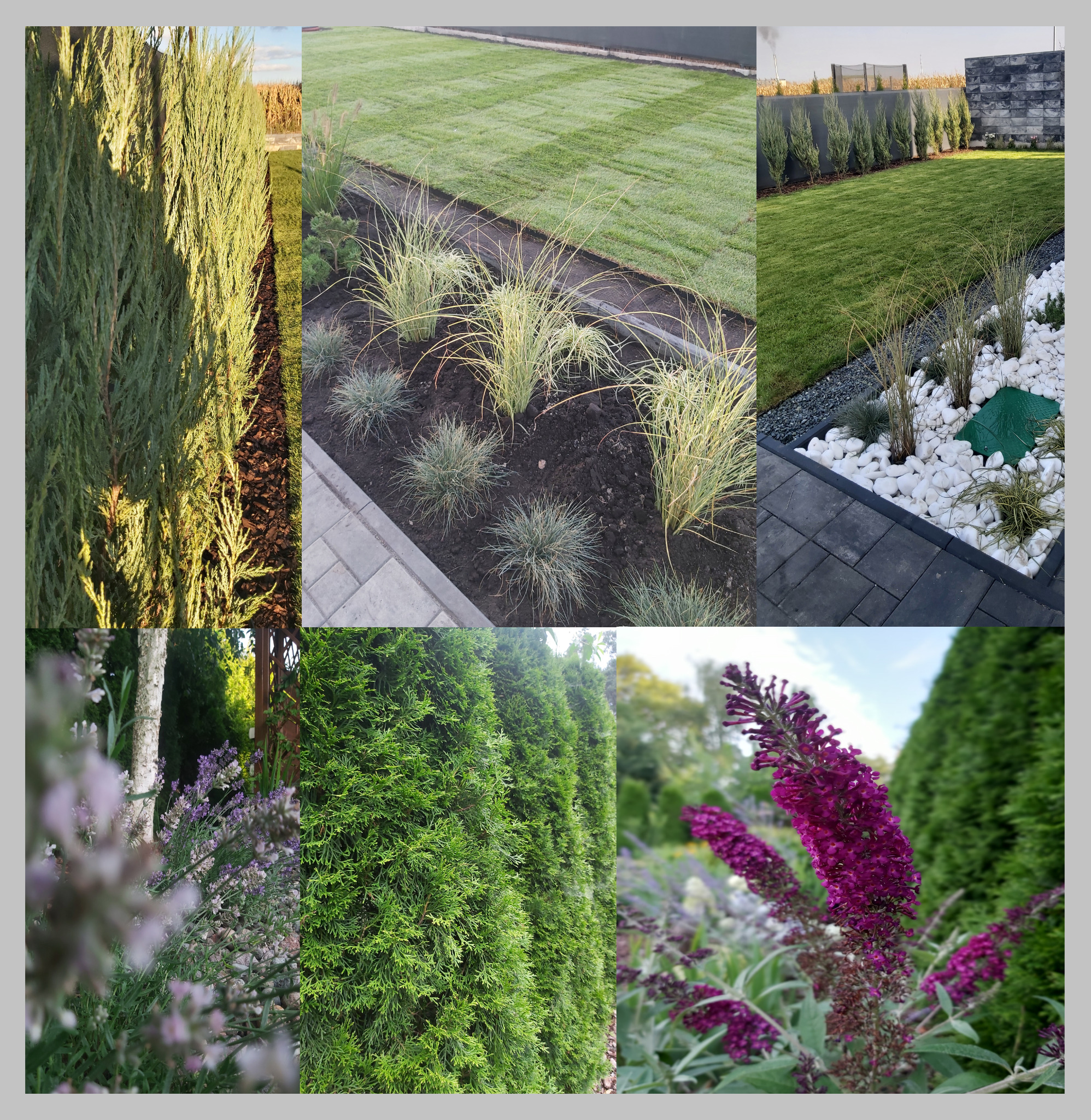 Kompozycja kolażu zdjęć prezentująca fragmenty nowo założonego ogrodu: świeża trawa w pasy, ozdobne trawy i krzewy na rabatach, tuje szmaragdowe, kwitnące rośliny, obrzeża z kostki brukowej i kamieni.