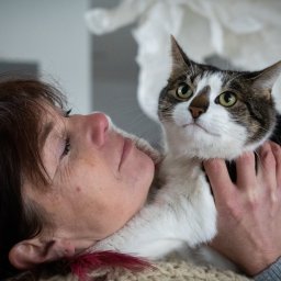 Fotograf ślubny Drogheda 3