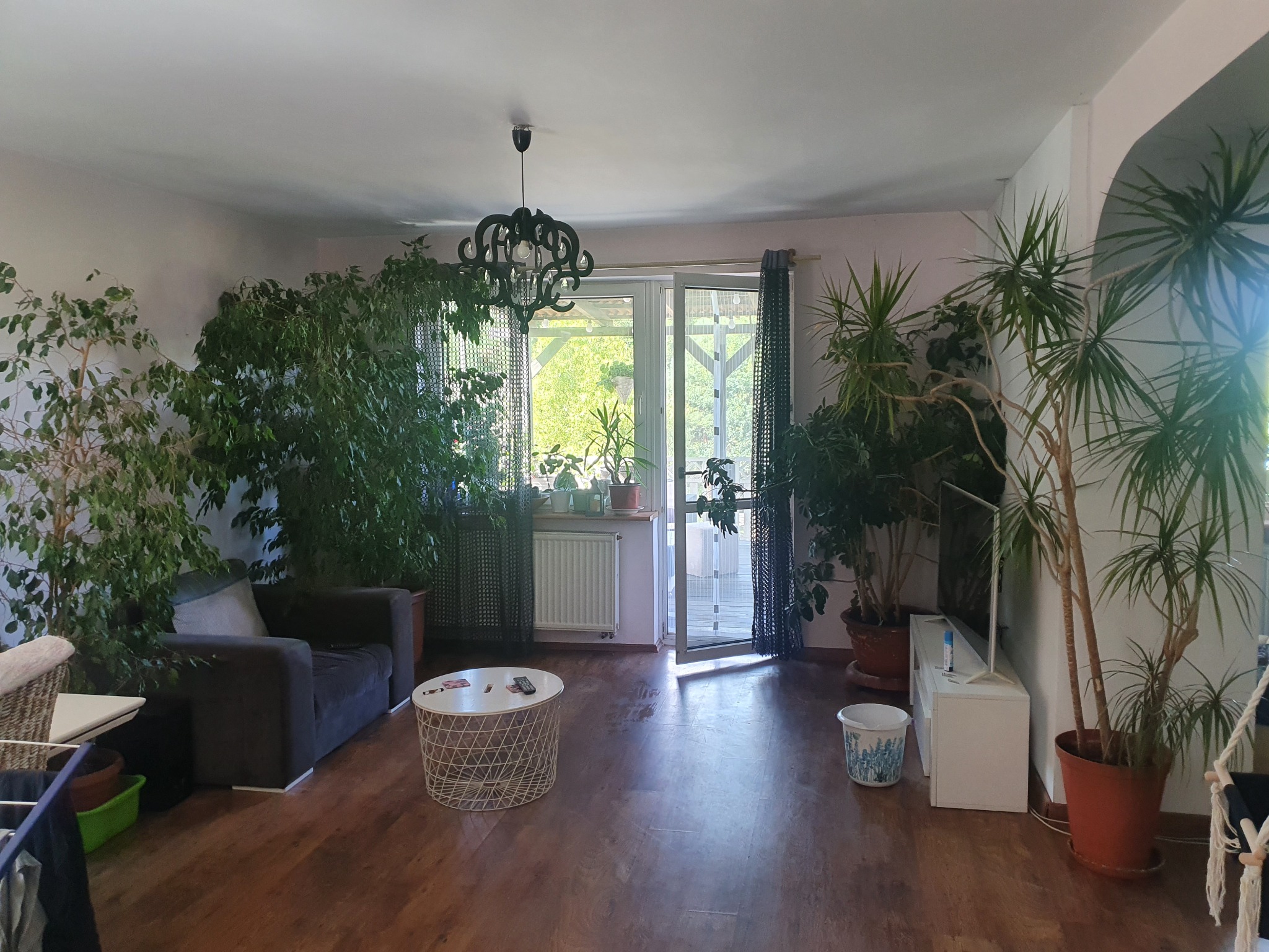 Jasne wnętrze pokoju z dużą ilością roślin doniczkowych, ciemnoszarą sofą i stolikiem kawowym z pilotem na blacie, widok na balkon przez otwarte drzwi.