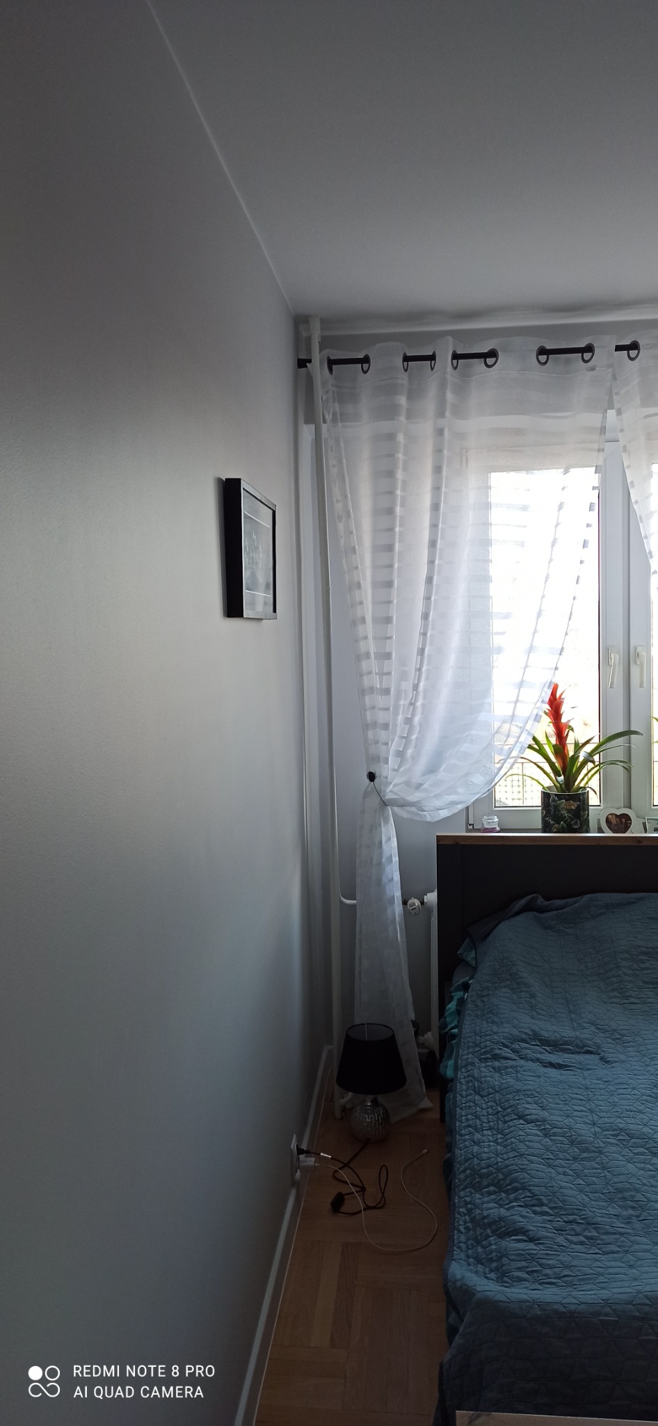 Szara ściana w pokoju w Rzeszowie po świeżym malowaniu, widoczna listwa sufitowa, obrazek w czarnej ramce, białe firanki w oknie i fragment łóżka z niebieską narzutą.