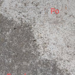 Wycinka drzew Poznań 2