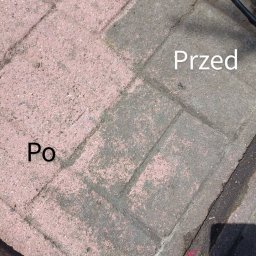 Wycinka drzew Poznań 1