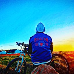 Zbieranie owoców Słupsk 1