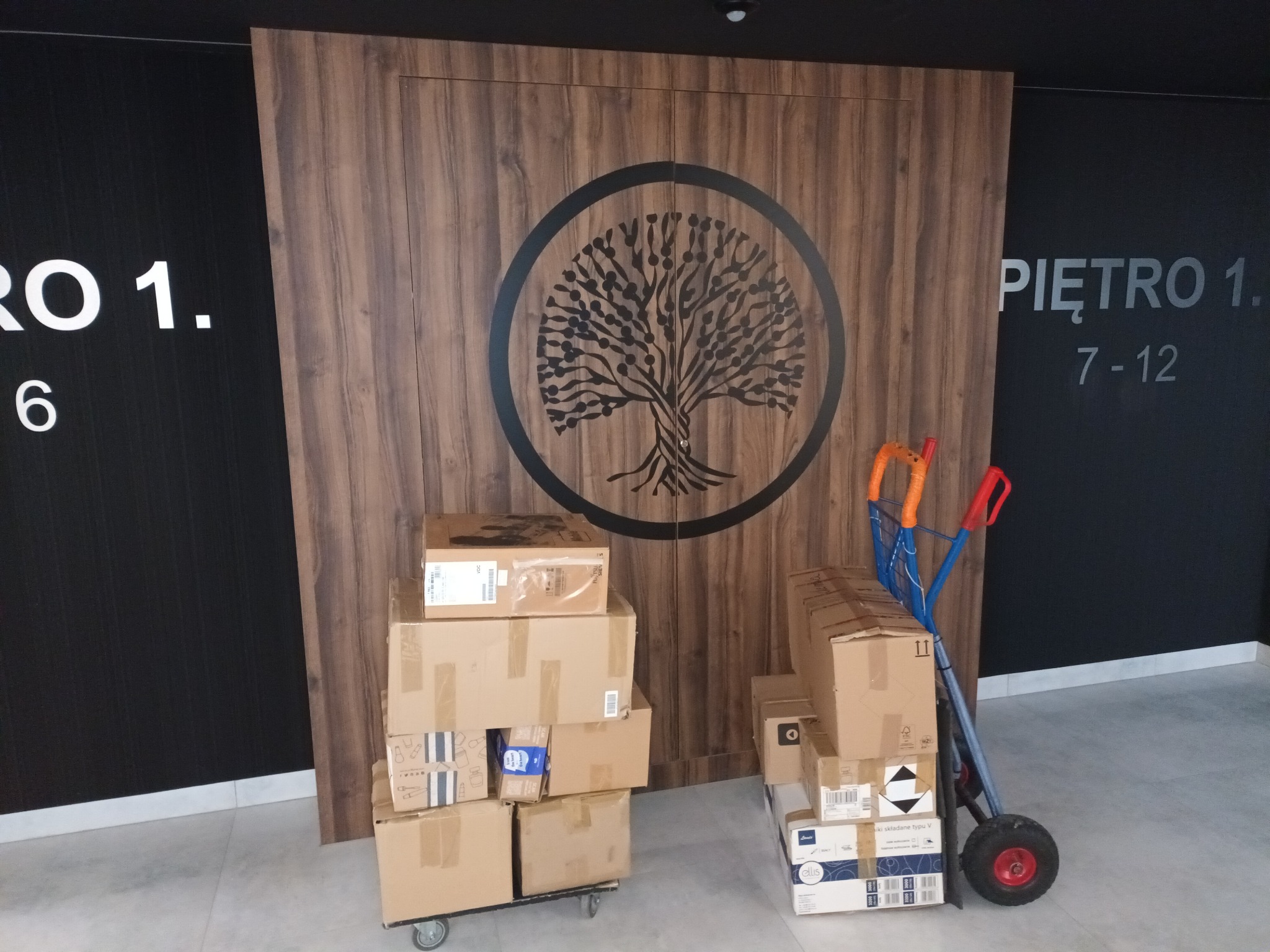 Kartonowe pudła na wózku transportowym i palecie przed ścianą z numerem piętra i dekoracyjnym motywem drzewa.