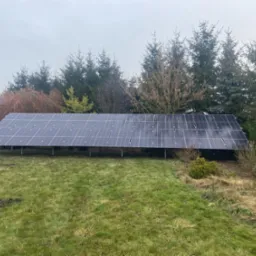 Rząd paneli słonecznych na metalowych wspornikach, ustawiony na trawniku przed rzędem drzew iglastych i budynkiem mieszkalnym w tle.