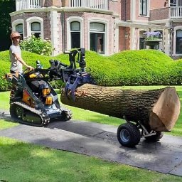 OGRODY Łukasz Gorczyca - Operator w kasku transportuje dużą kłodę drewna przy użyciu miniładowarki z chwytakiem i przyczepki, na tle zadbanego ogrodu i eleganckiego domu.