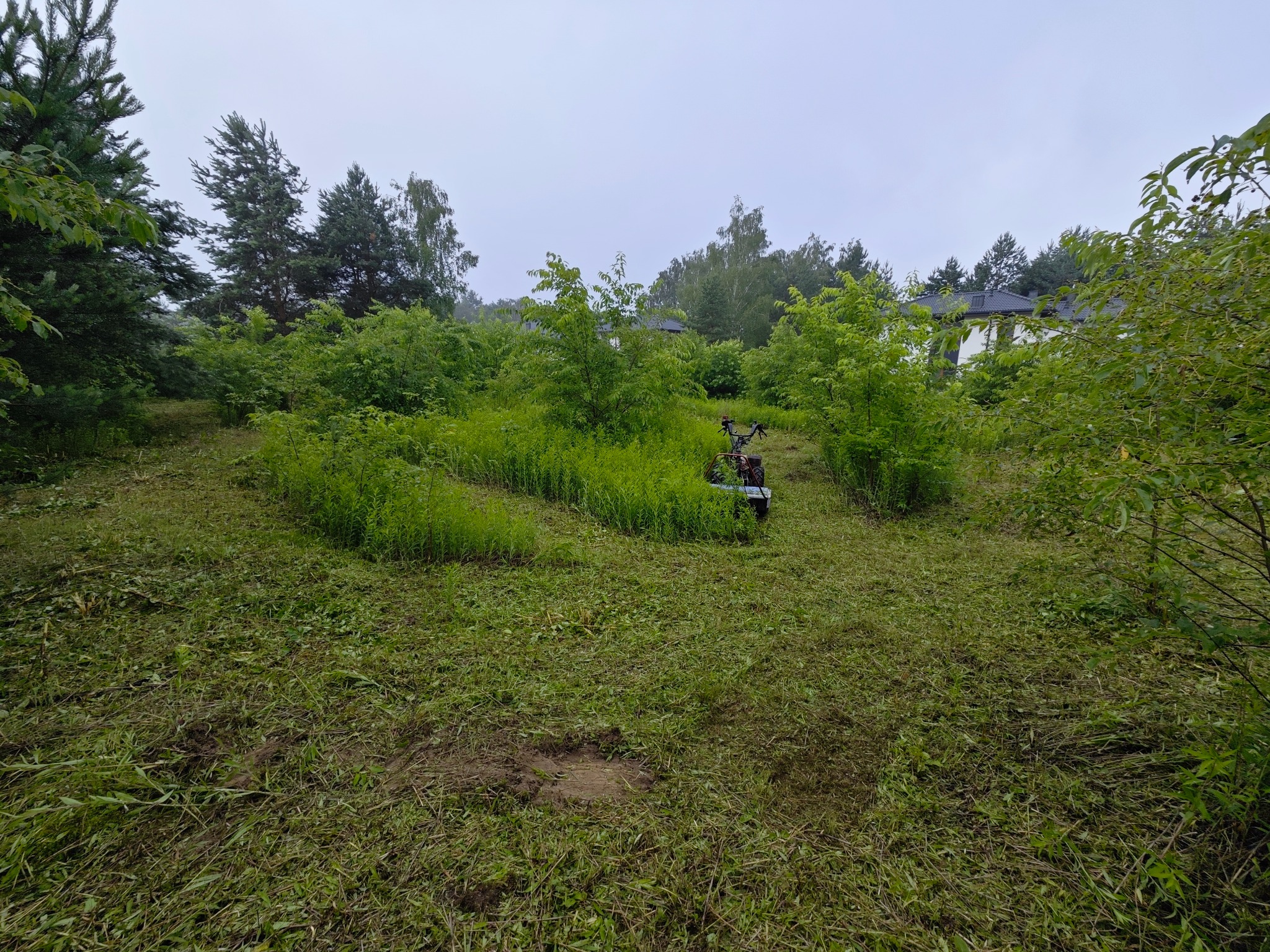Teren po skoszeniu trawy z widoczną kosiarką spalinową, w tle drzewa i budynek w pochmurny dzień.