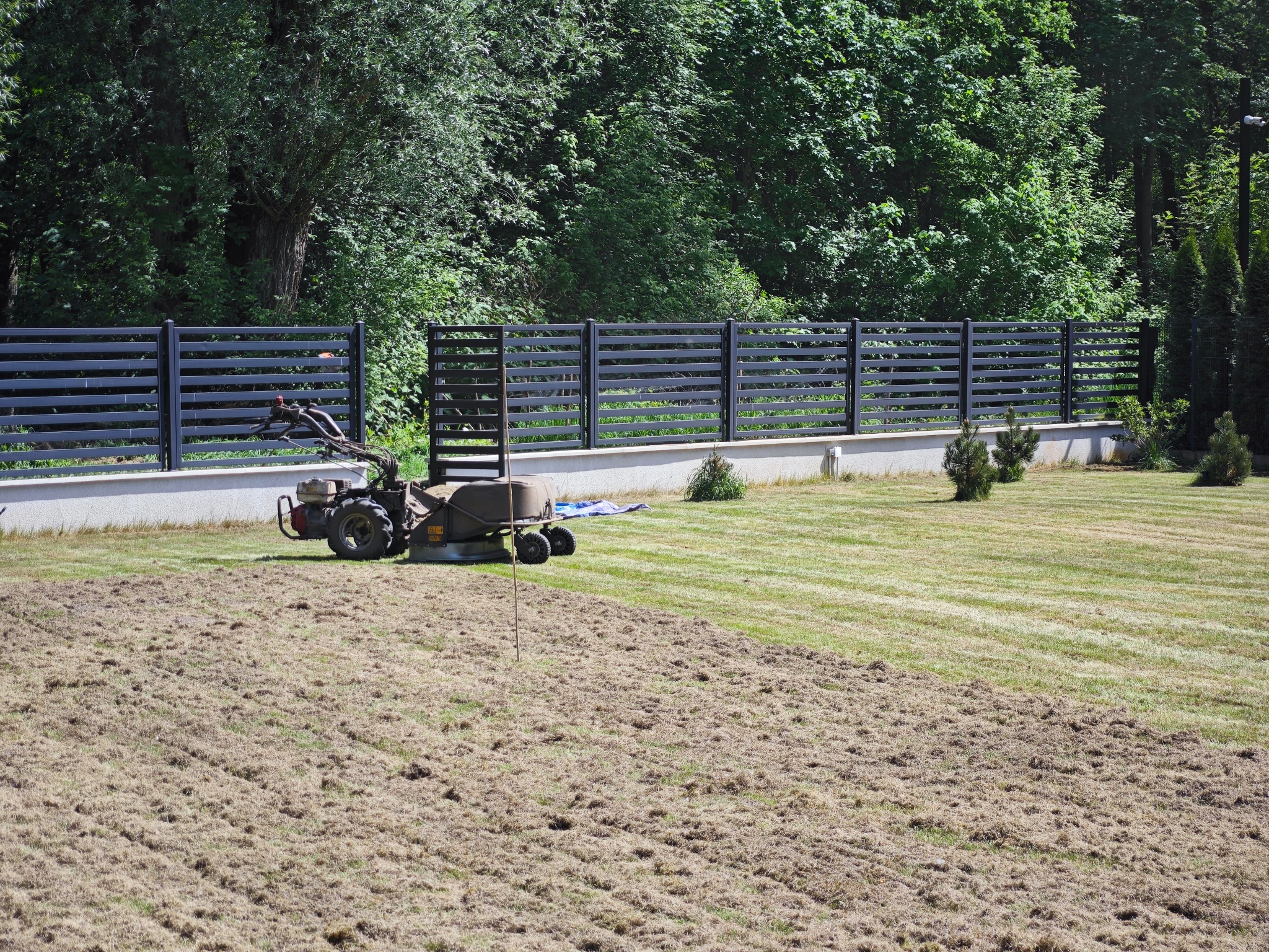 Specjalistyczny traktor z koszem zbierającym trawę podczas pracy na rozległym trawniku, widoczna linia cięcia, w tle nowoczesne ogrodzenie panelowe i zielone drzewa.