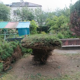 Taras Prytula.UA🇺🇦 - Ogród z formowaną roślinnością, widoczny krzew w kształcie grzyba, w tle kolorowa wiata i budynek.