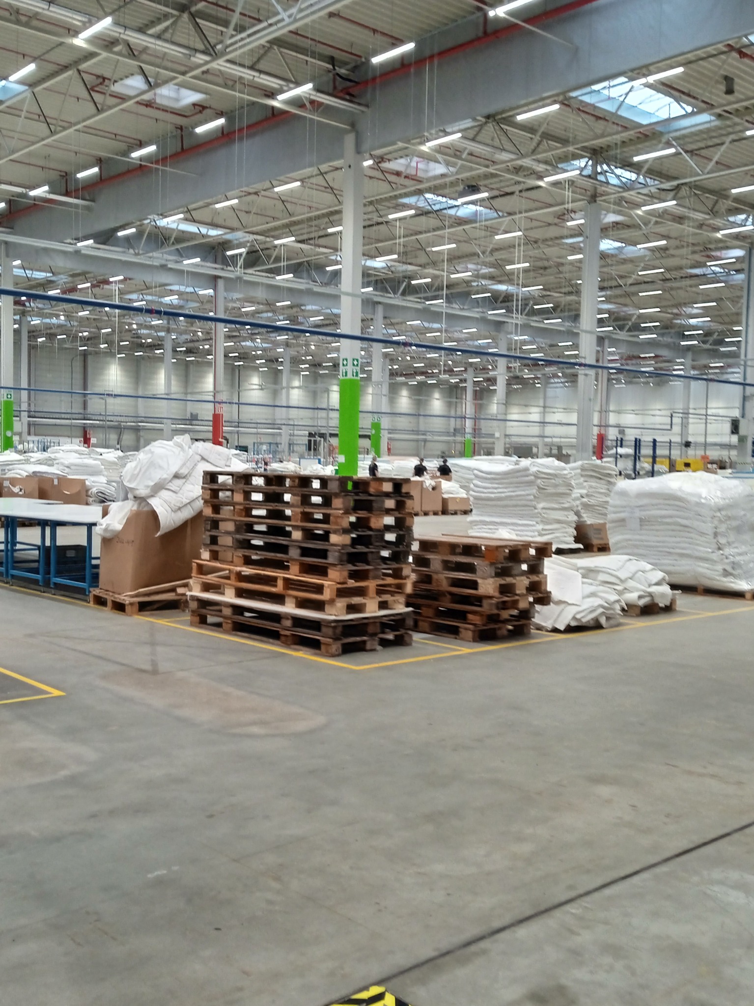 Wnętrze hali magazynowej z paletami, zapakowanymi towarami i wyznaczonymi żółtymi liniami na betonowej podłodze.