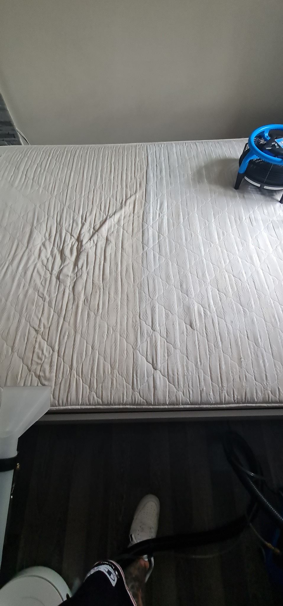 Pranie, usuwanie bakterii, neutralizacja zapachu. Materac suchy zaraz po wypraniu !