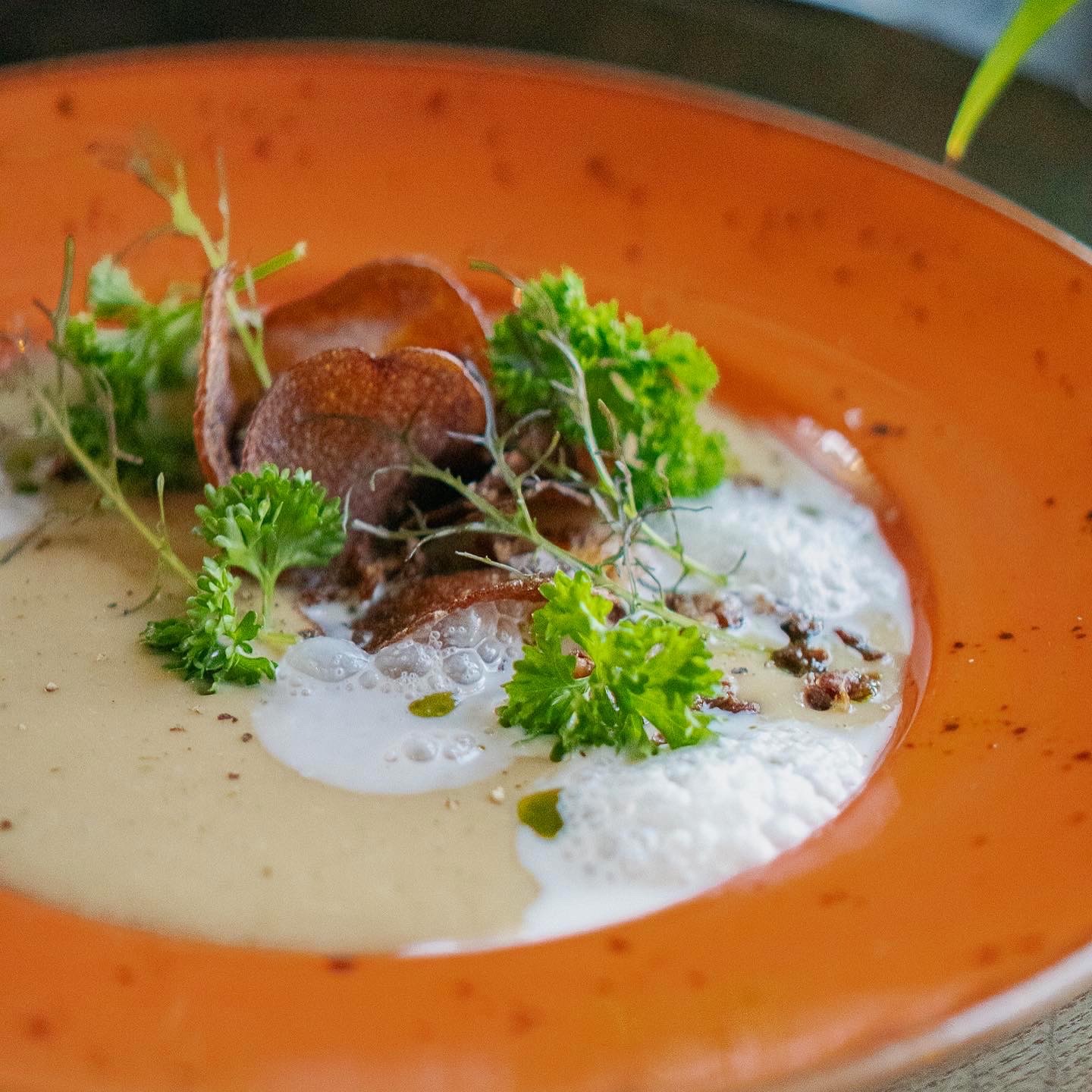 Zupa - Restauracja Endi Wine House Sopot