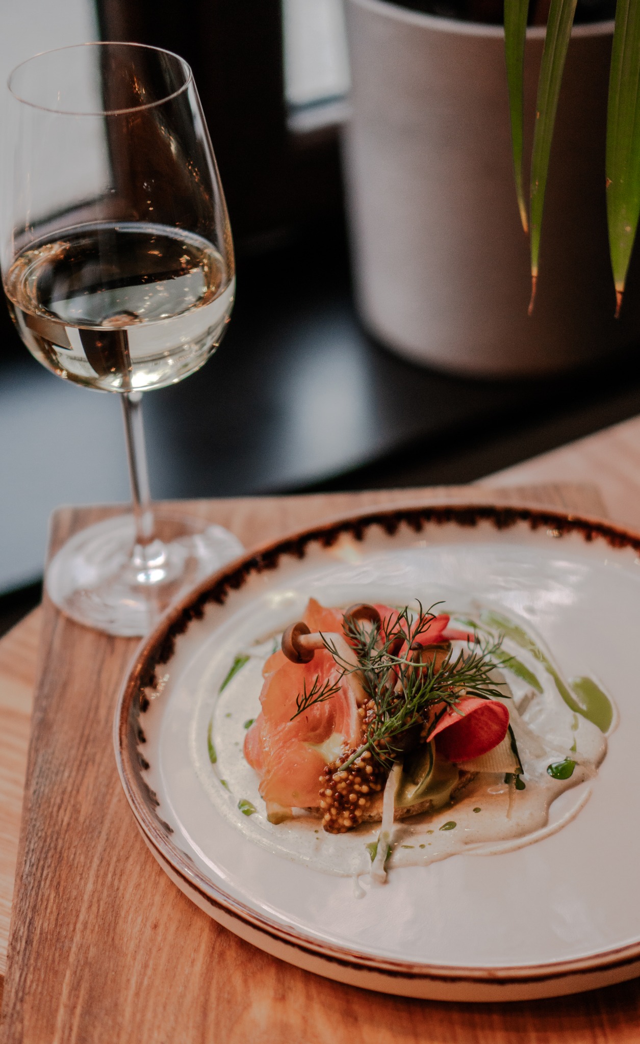 Elegancko podane danie z łososia, grzybów i ziół na białym talerzu z brązową obwódką, obok kieliszek białego wina, całość na drewnianym blacie, w tle roślina doniczkowa.
