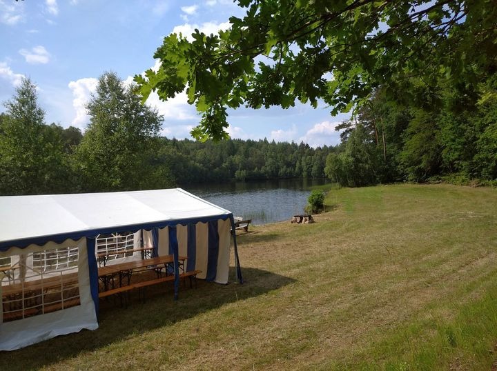 Wynajem namiotu pod lasem