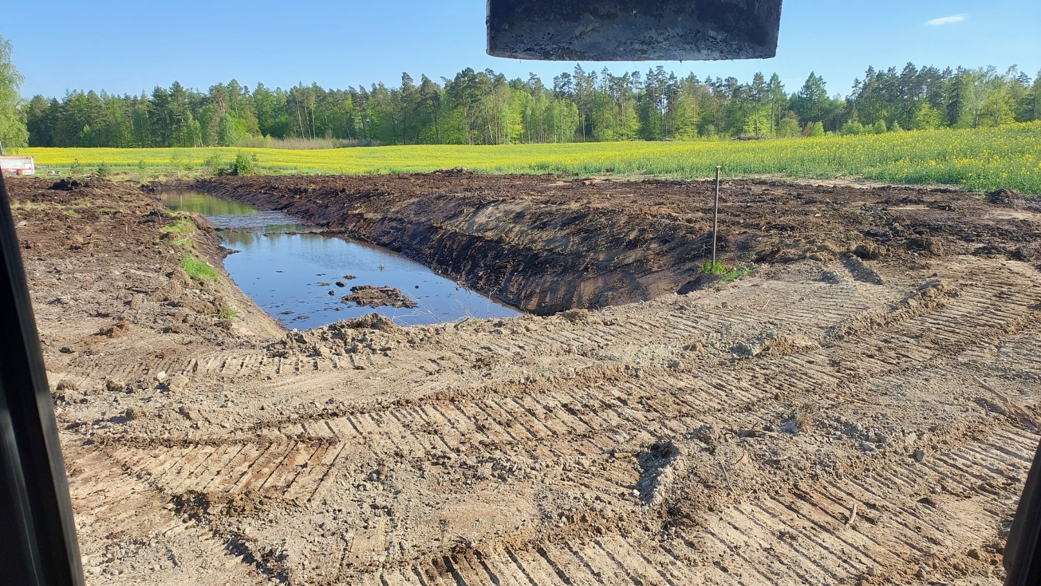 Świeżo wykopany staw z wodą, widoczne ślady opon maszyny budowlanej na ziemi, w tle pole kwitnącego rzepaku i las.
