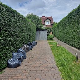 Wycinka drzew Łącko 4