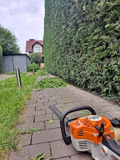 Przycięty, wysoki żywopłot z tui wzdłuż ścieżki z kostki brukowej, obok leżą świeżo ścięte gałązki, a na pierwszym planie spalinowe nożyce do żywopłotu Stihl HS 45.