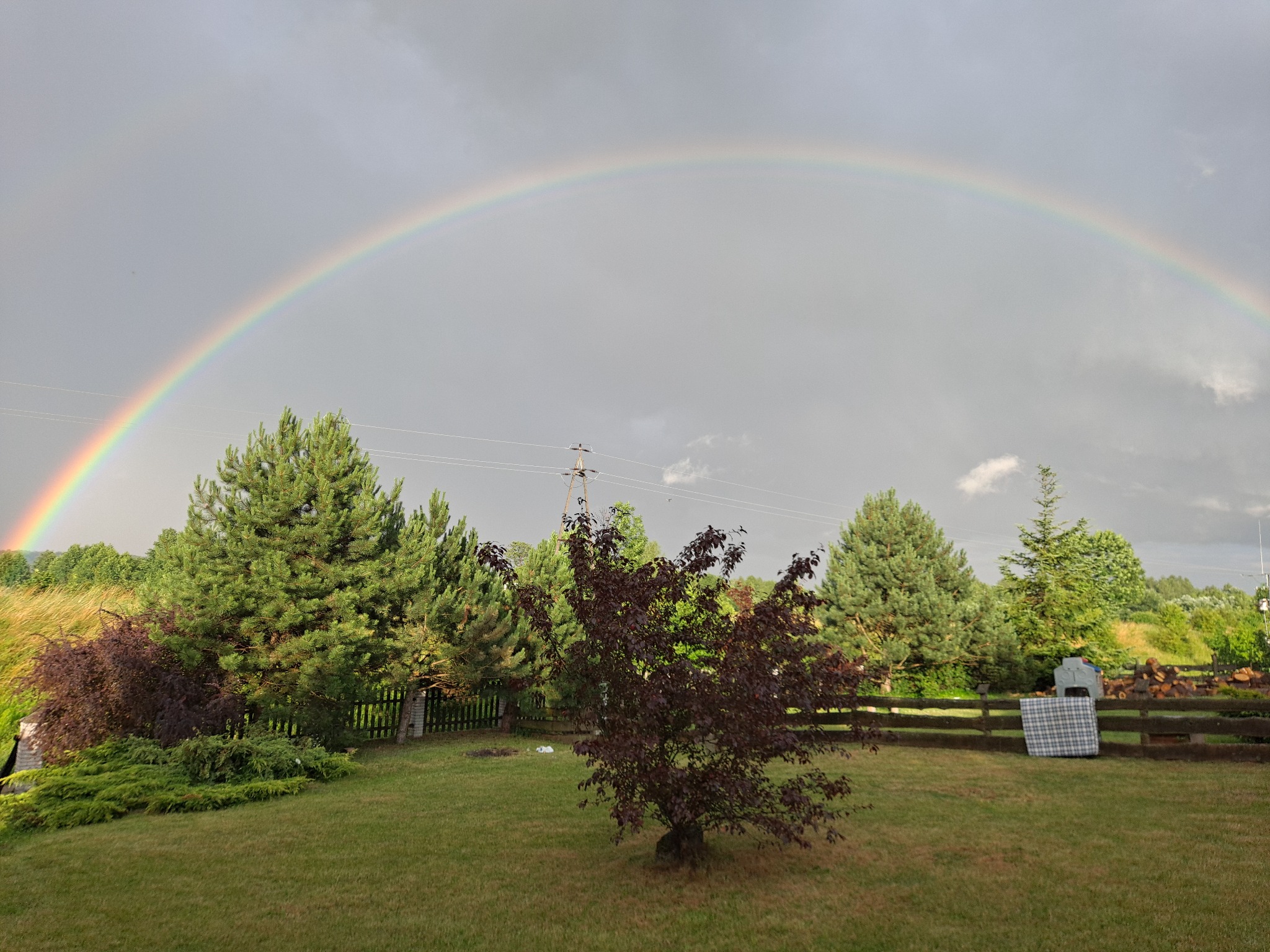 Pejzaż ogrodu z widokiem na tęczę po deszczu, drzewa iglaste i liściaste, drewniane ogrodzenie w tle, pochmurne niebo.