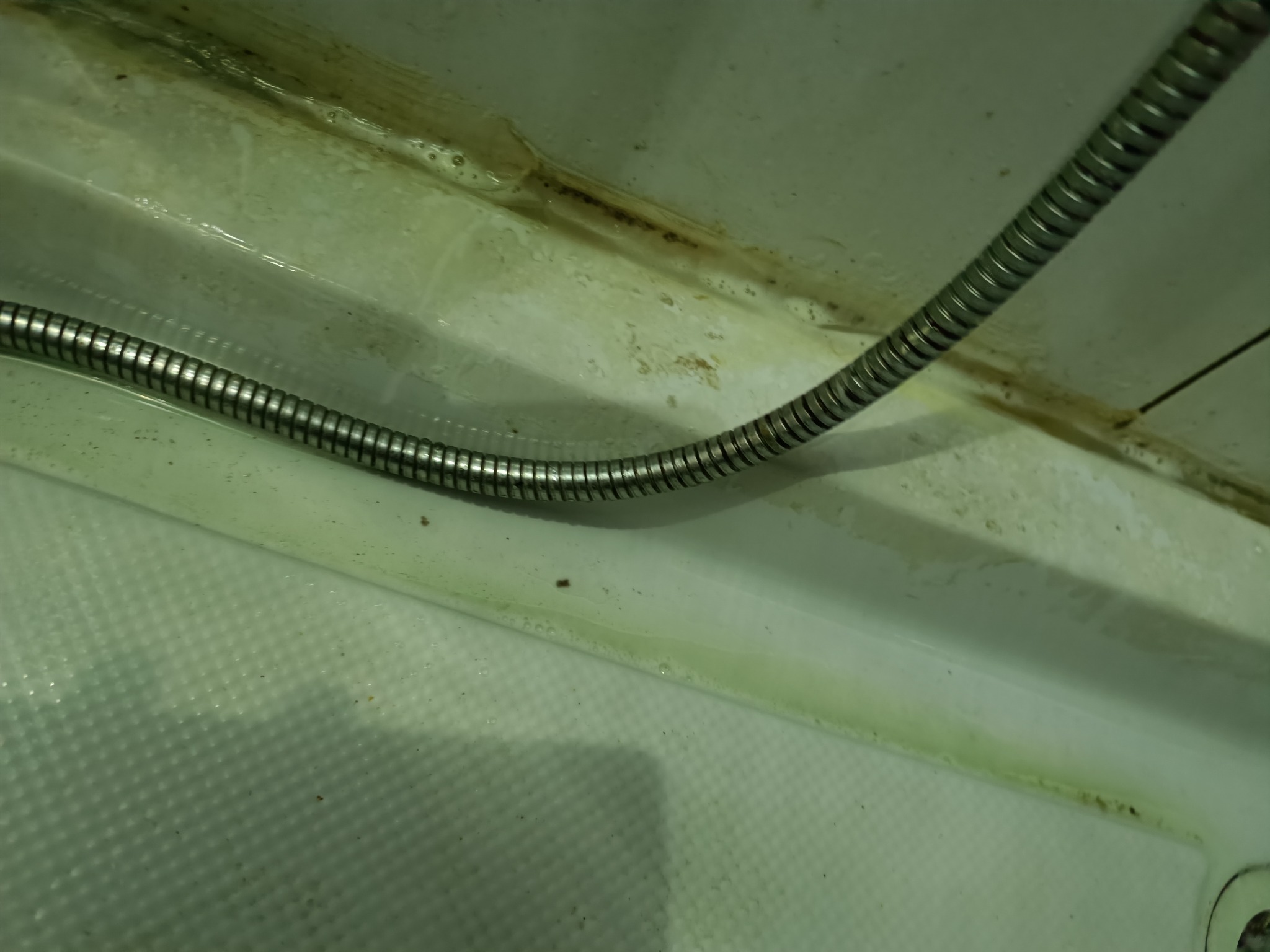 Zanieczyszczona kabina prysznicowa z pleśnią i osadami, widoczny wąż prysznicowy w metalowej osłonie.