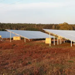 Panele słoneczne w trakcie montażu na łące, widoczne kartony z logo Q CELLS, las w tle, słoneczny dzień.