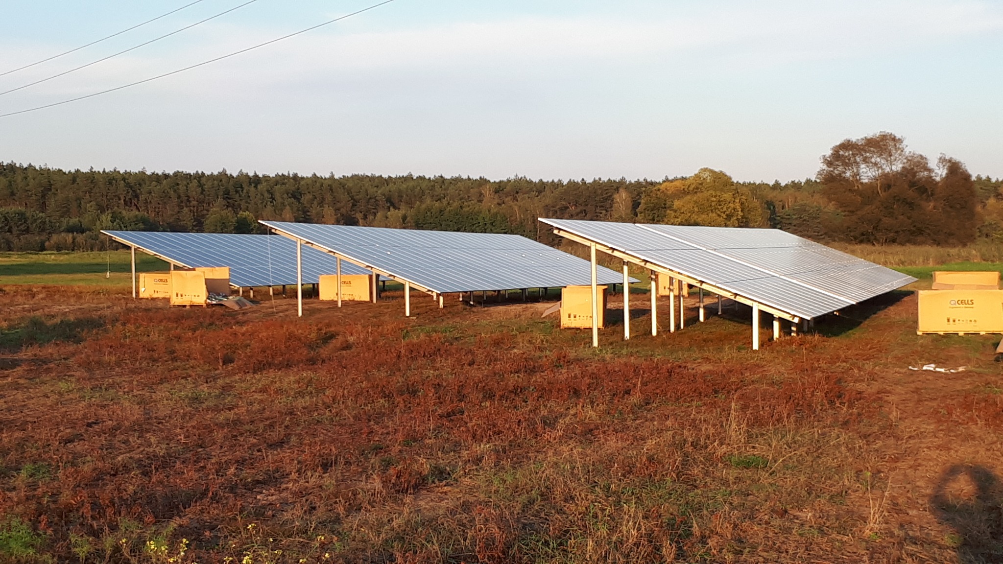 Panele słoneczne w trakcie montażu na łące, widoczne kartony z logo Q CELLS, las w tle, słoneczny dzień.