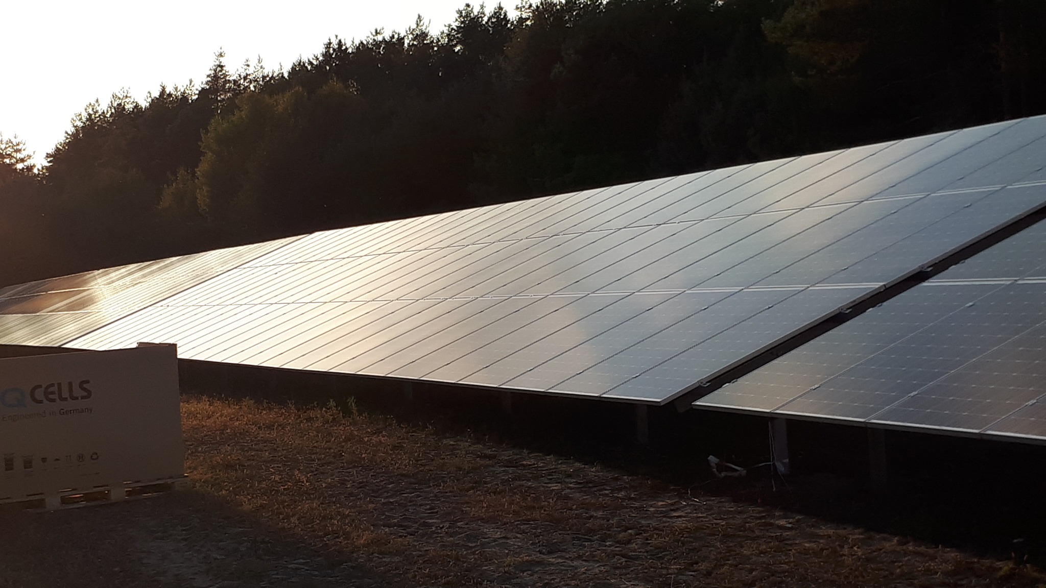 Długi rząd paneli słonecznych z odbiciem zachodzącego słońca, na pierwszym planie kartonowe pudełko z logo Q CELLS, w tle ciemny las.