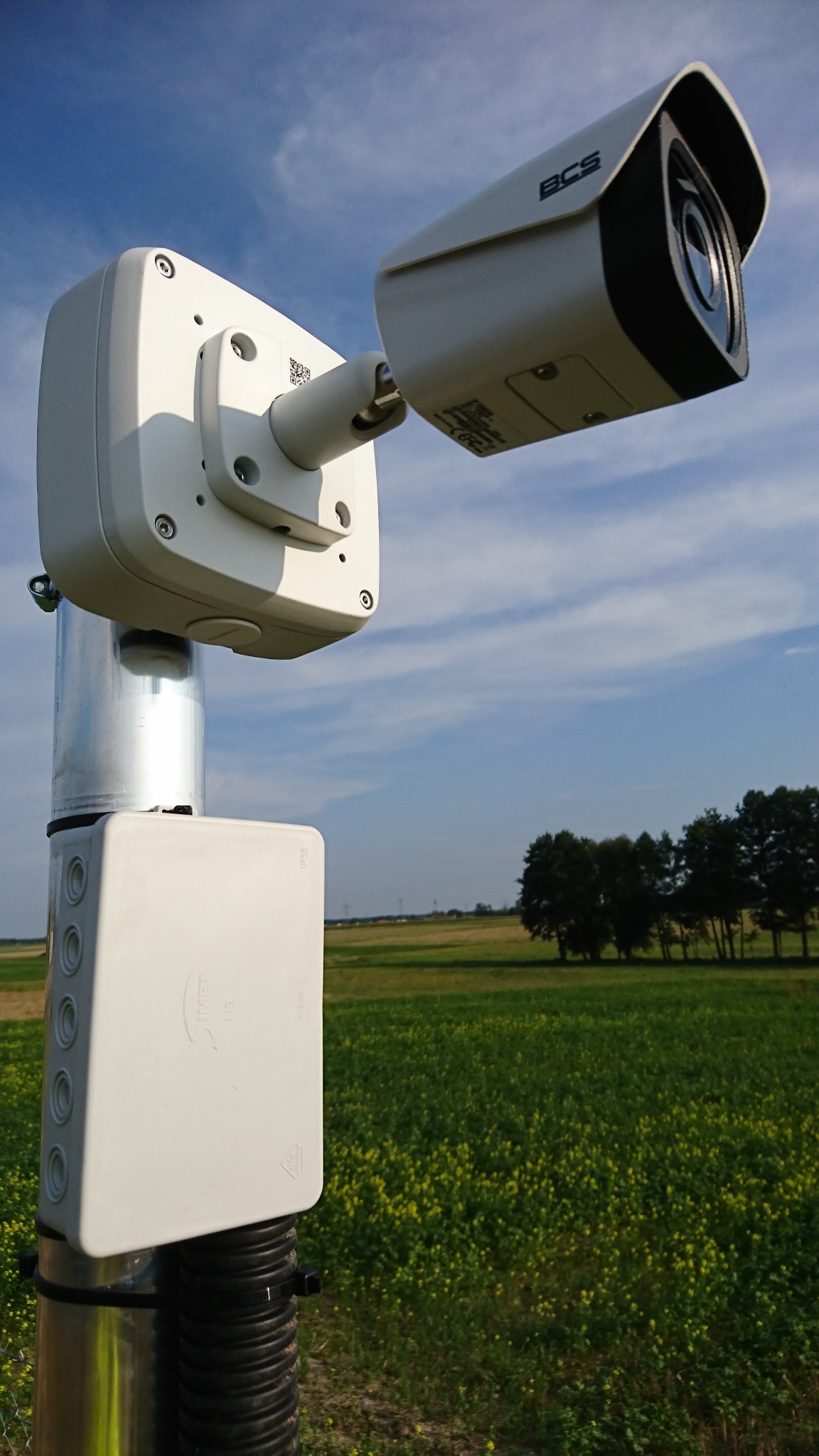 Kamera monitoringu BCS zamontowana na metalowym słupku z puszką przyłączeniową, widok na pole z kwitnącymi żółtymi kwiatami i błękitne niebo.