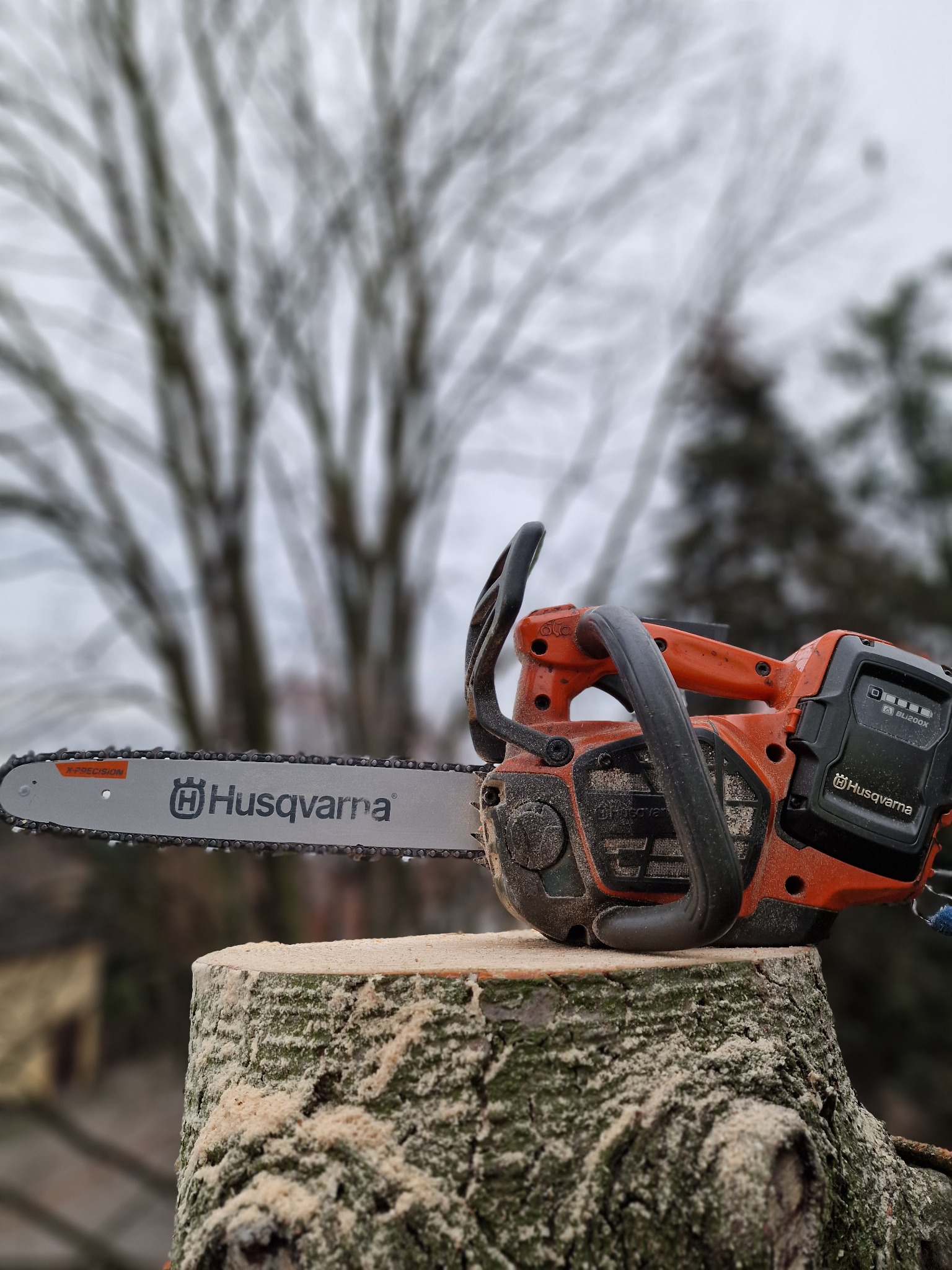 Akumulatorowa pilarka Husqvarna spoczywająca na świeżo ściętym pniu drzewa, z widocznymi wiórami i rozmazanym tłem drzew.