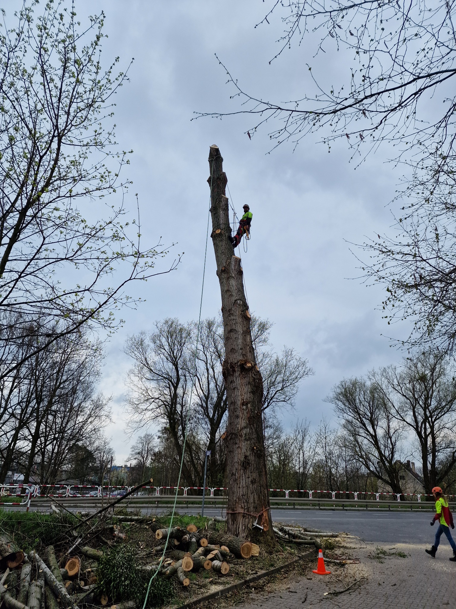 Niebezpieczne, duże drzewo? Brak miejsca żeby ściąć je z ziemi? Dla naszej ekipy to nie problem!