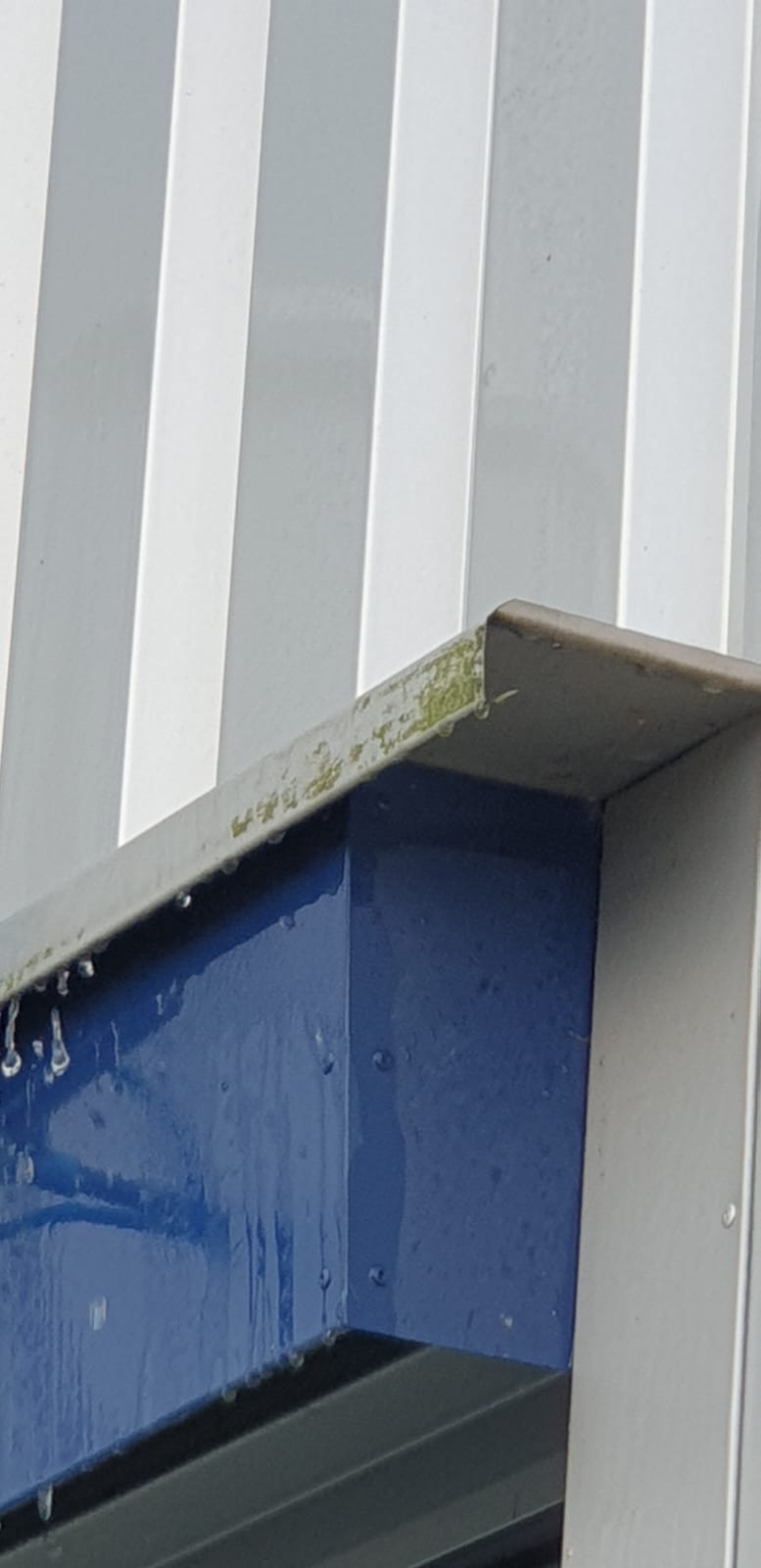 Z bliska: zarośnięty mchem narożnik metalowej konstrukcji budynku z widocznymi smugami wody spływającej po niebieskiej powierzchni, na tle białej, pionowo żebrowanej ściany.